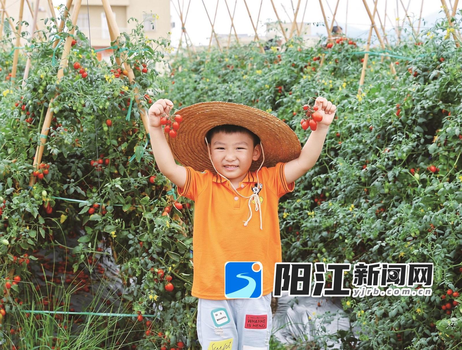 享受摘果乐趣。