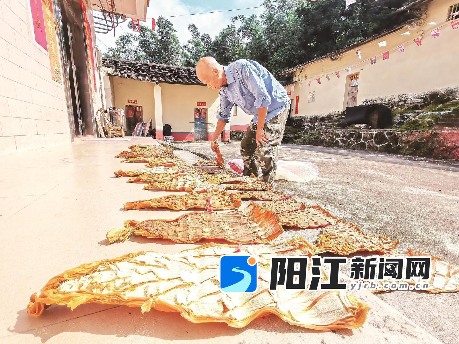 新墟镇东水村的农户在晒竹笋干。谭文强 摄