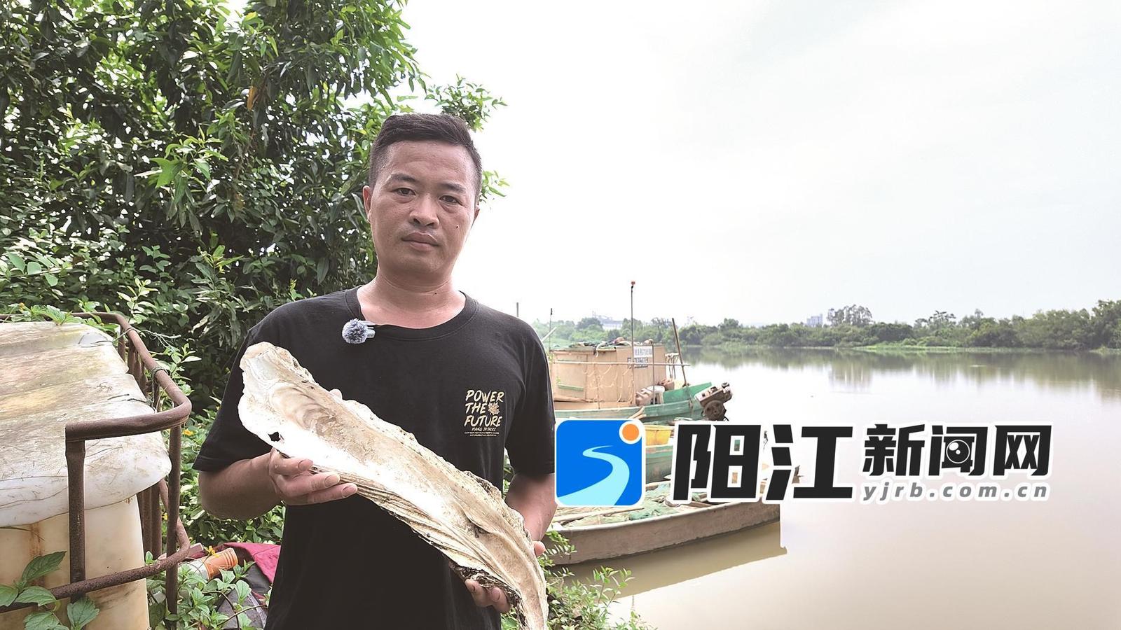渔民叶建开在漠阳江西河起网捞上来的蚝壳。 陈海涛 摄