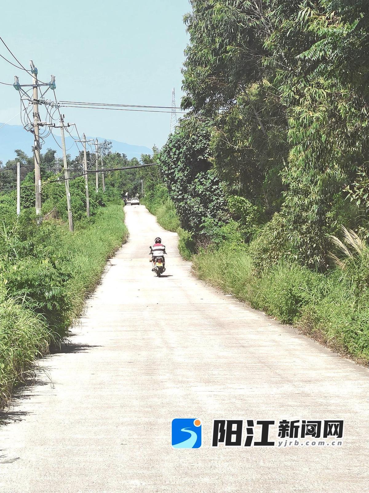 残存的一截埠九公路。陈计会 摄